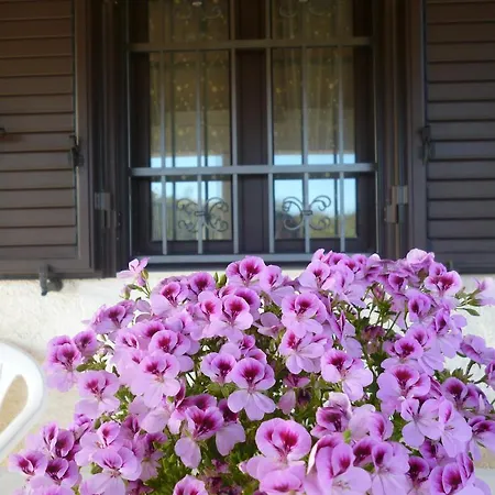 Holiday home La Petunia Pozzallo